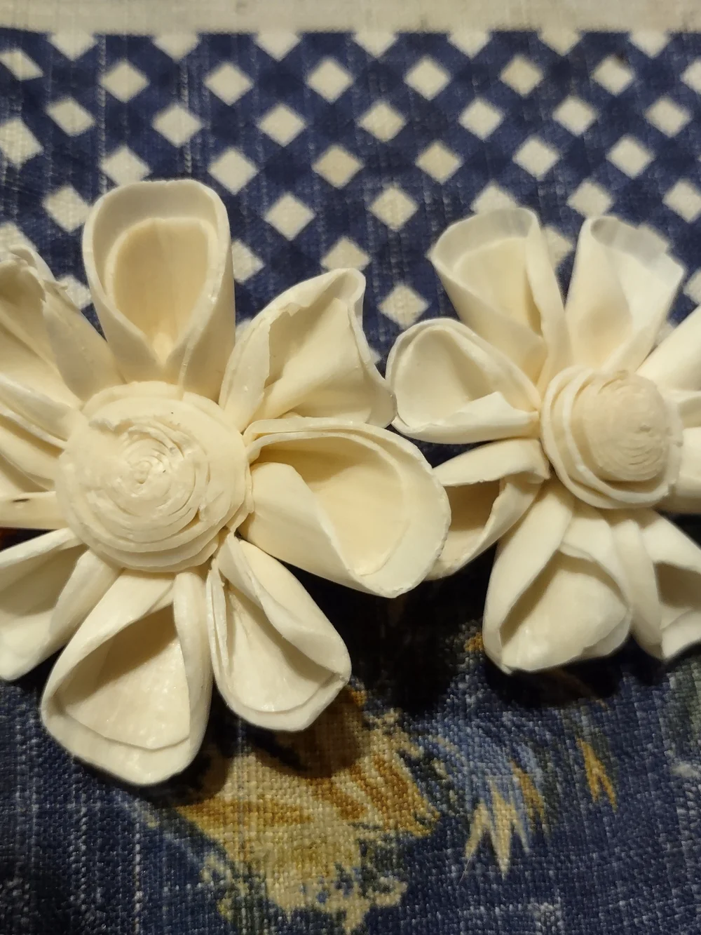55 Beautiful Sola Wood Flowers